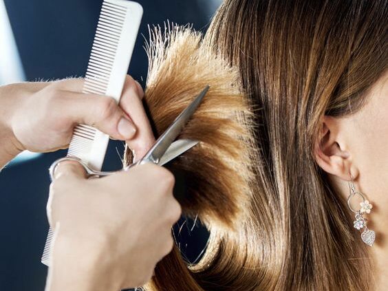 corte de pelo seco o mojado